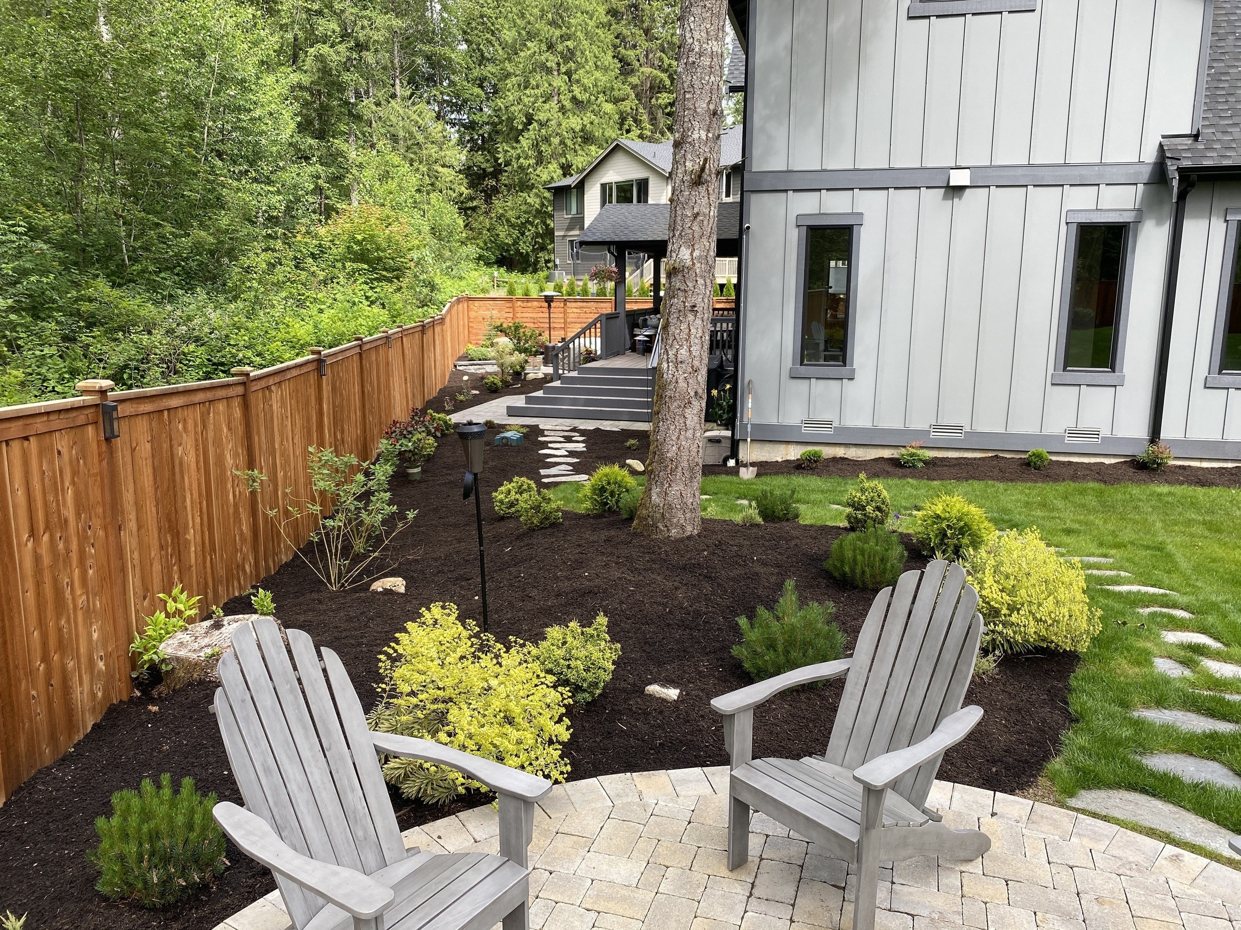 Two gray Adirondack chairs on a circular paver patio facing a mulched bed of young shrubs along a cedar fence, with stepping stones crossing the lawn beside a gray board-and-batten house.
